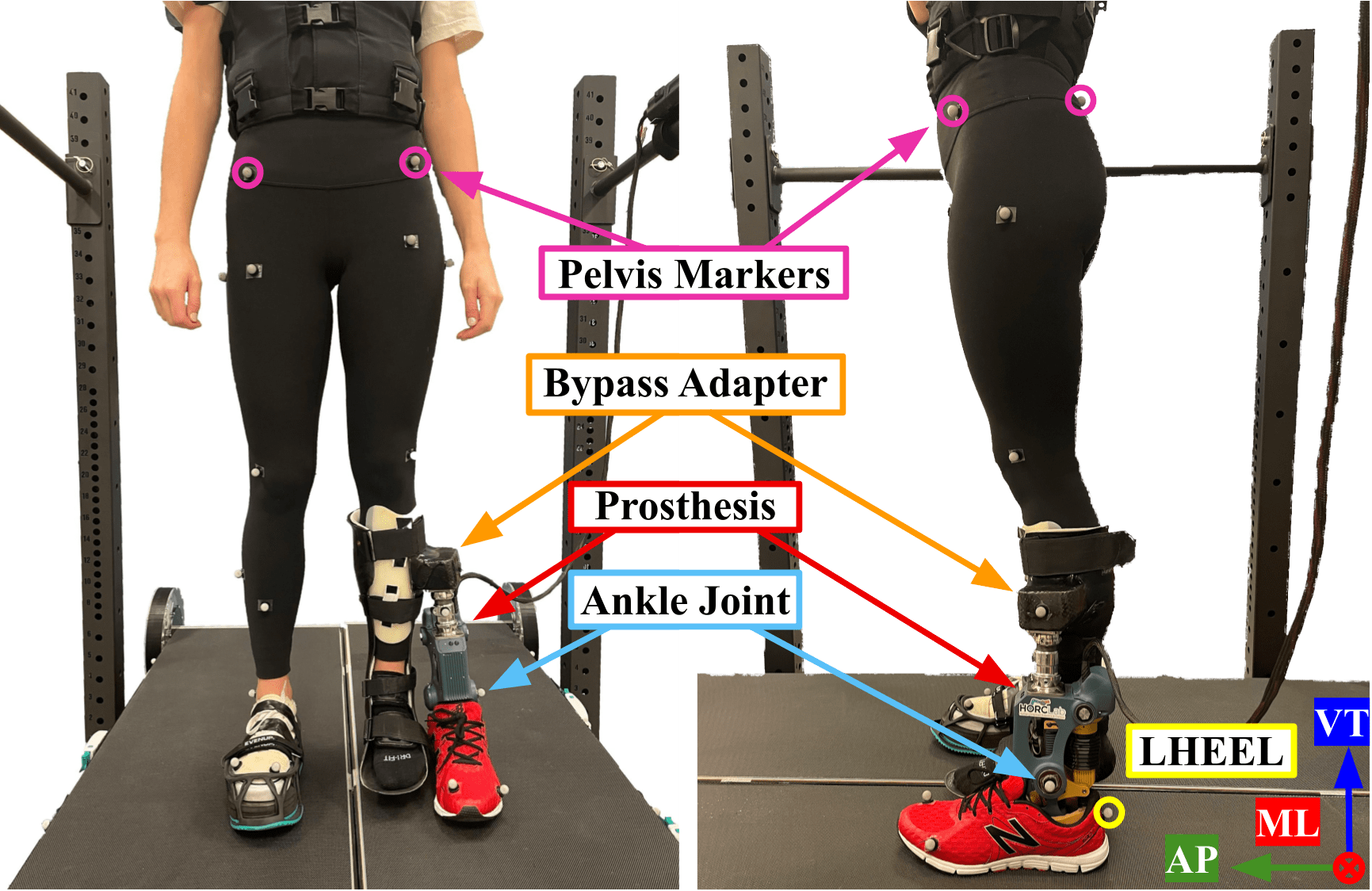 Neural Control Interface